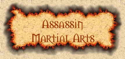 diablo 2 assassin martial arts build diablo 2 assassin martial arts build